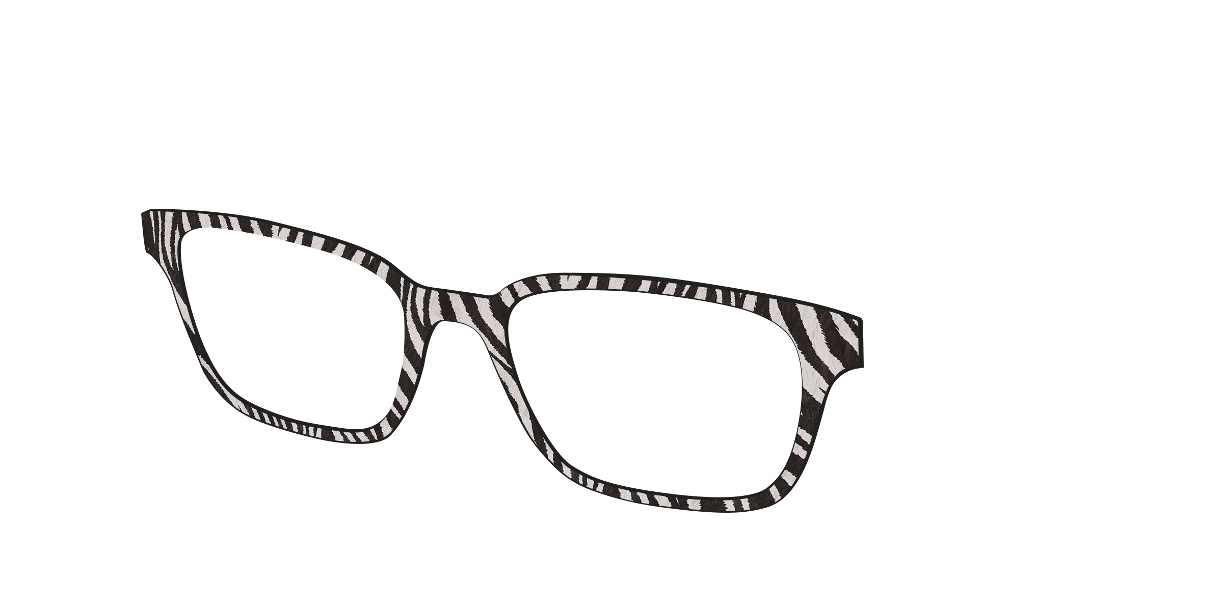 The Zebra Stripes - Image 22