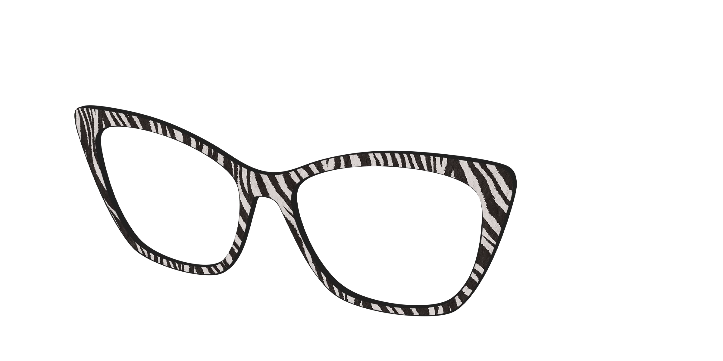 The Zebra Stripes - Image 26