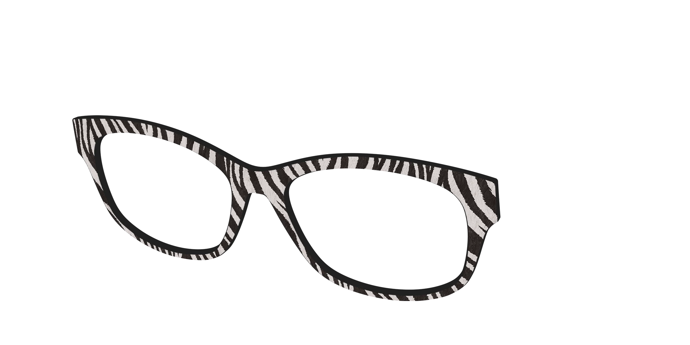 The Zebra Stripes - Image 40