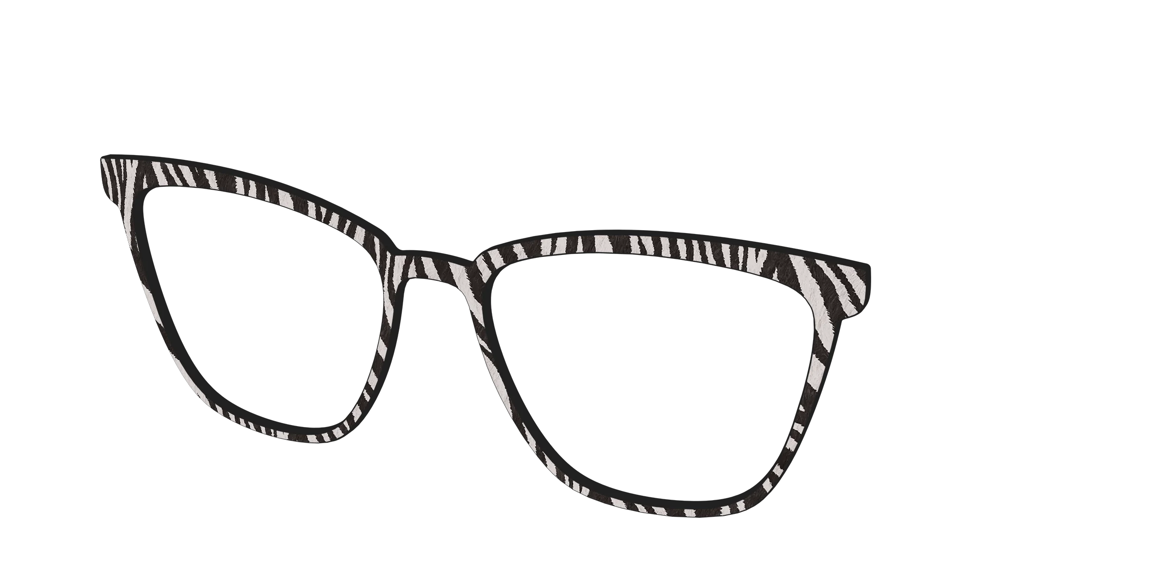 The Zebra Stripes - Image 58